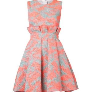Pink Printed Jacquard Dress